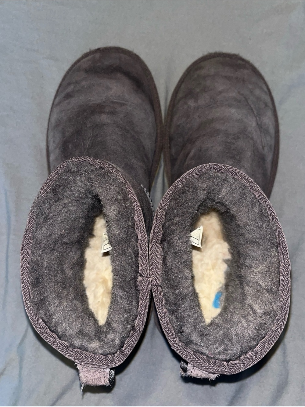 UGG Short Shearling Lined Boots in Gray Suede